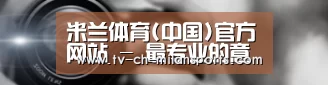 公司动态
