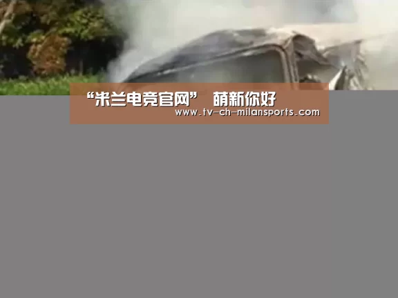 “米兰电竞官网”
萌新你好(图3)