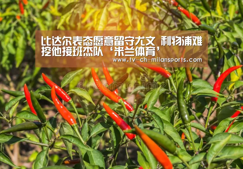 比达尔表态愿意留守尤文 利物浦难挖他接班杰队‘米兰体育’(图3) 米兰体育入口