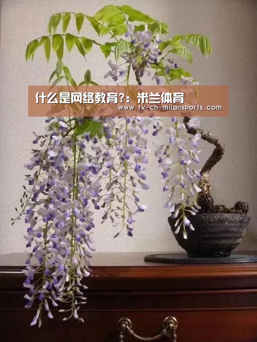 米兰体育入口