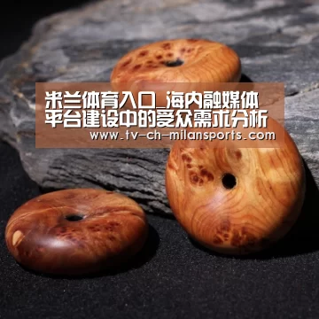 米兰体育入口_海内融媒体平台建设中的受众需求分析(图2)
