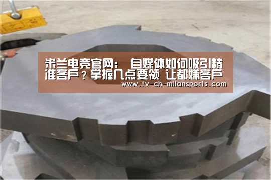 米兰体育入口