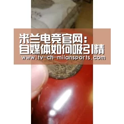 米兰电竞官网
