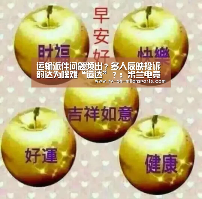 米兰体育入口